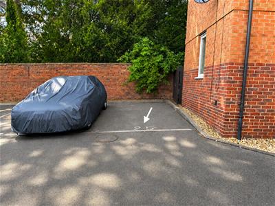 Picture 13